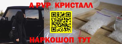 дурь Кингисепп