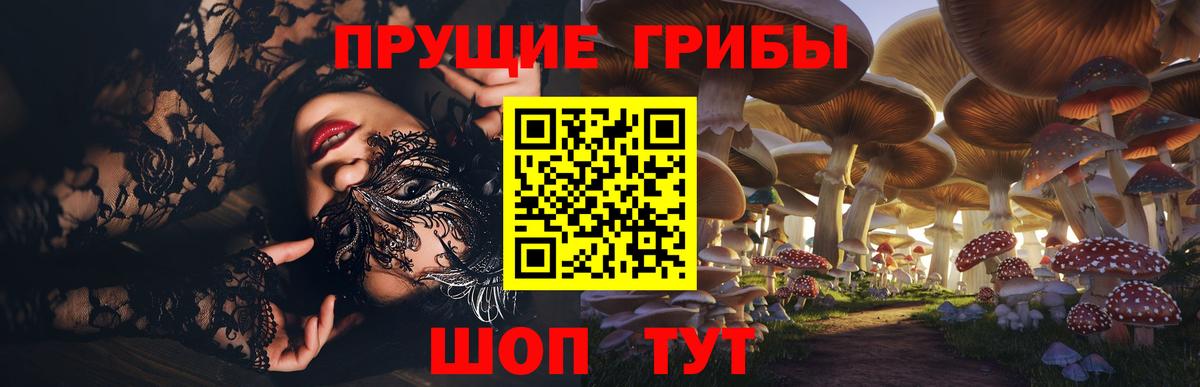 Кудрово  Псилоцибиновые грибы мицелий  Вход с VPN  Псилоцибиновые грибы Magic Shrooms 