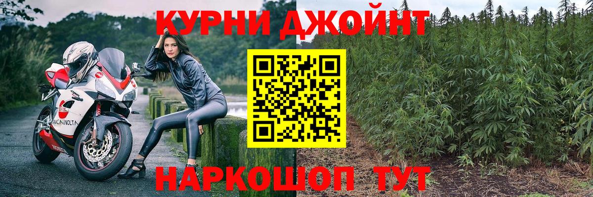 Бошки Шишки ГИДРОПОН  Вход с VPN  Кудрово  Конопля OG Kush 